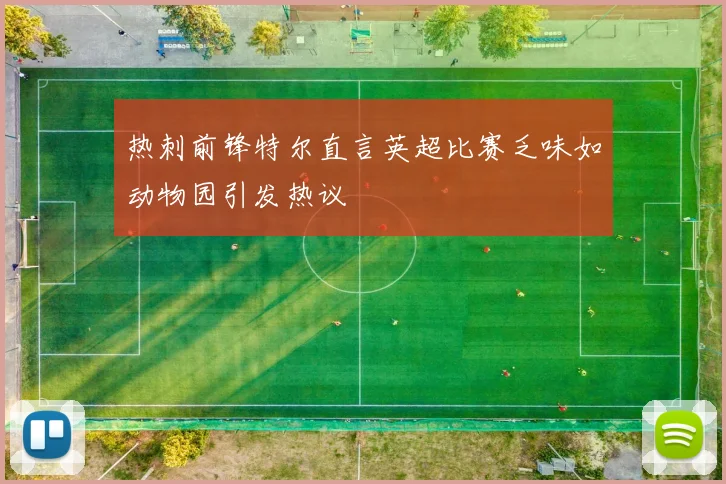 热刺前锋特尔直言英超比赛乏味如动物园引发热议